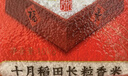 十月稻田 2025年新米 长粒香大米 20斤（东北大米 香米 10公斤） 实拍图