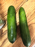 京鲜生 山东水果黄瓜 净重3斤 单果70g+ 青瓜荷兰瓜 源头直发 实拍图
