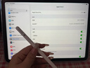 苹果Apple Pencil 一代/二代 苹果手写笔二手苹果手写笔/电容笔/触控笔二手平板电脑配件 苹果Pencil Pro 单笔【99新】 实拍图