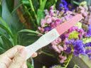 仁和HPV试纸 病毒染色试剂检测居家自检女男通用尿液样本自查筛查3盒 实拍图