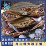 【冷冻】拾鲜生 梭子蟹活冷冻特大螃蟹海蟹海鲜5斤 7-9两/只 当季新蟹 源头直发包邮 实拍图