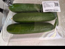 【水果菜】荷兰水果黄瓜约400g 实拍图