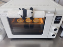 长帝（changdi）国家补贴家用烤箱猫小易pro电烤箱风炉平炉空气炸42升大容量多功能烘焙炸烤一体机烧烤新年货礼物 实拍图