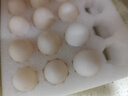温润食品新鲜鸽子蛋 20枚/360g 杂粮喂养营养鸽蛋宝宝孕妇放心吃 京东自营 实拍图