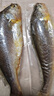 海名威 宁德三去黄花鱼2斤/2条净重 大黄鱼 生鲜鱼类 海鲜水产  年货节 实拍图