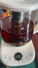 小熊（Bear）养生壶煮茶壶煮茶器 多功能保温一体烧水壶恒温水壶 316L母婴级煮水壶 1.5L YSH-E15M1 实拍图