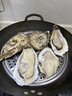 蜀皇乳山生蚝鲜活特大牡蛎海蛎子10斤净重5XL(16-20只)源头直发包 邮  实拍图