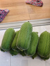 京鲜生 台湾短棒肉丝瓜 5斤装 单果220g起 新鲜蔬菜 源头直发包邮 实拍图