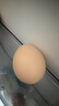 京鲜生鲜鸡蛋20枚/盒 健康轻食 营养健康 2斤/盒 源头直发  实拍图