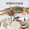 【活蟹】蟹叁钳庄 全母大闸蟹 去绳足重3.3-3.6两 8只鲜活现货螃蟹中秋国庆礼盒 实拍图