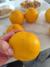 京鲜生 爆汁黄金葡萄柚 净重5斤 单果300g起 生鲜年货水果    实拍图