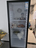 星星展示柜冷藏保鲜柜饮料展示柜冰柜商用冷藏柜风冷除霜酒水柜单门蔬菜水果保鲜便利店留样柜LSC-235H 实拍图