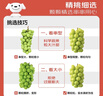 京鲜生 阳光玫瑰葡萄/青提2-2.5斤装 单果约10g 生鲜水果 实拍图