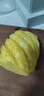 京鲜生海南金钻凤梨净重8斤单果650g起 树上熟新鲜水果源头直发包邮 实拍图