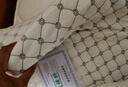 金橡树泰舒天然乳胶床垫泰国进口原液榻榻米双人可定制1.8*2米软硬适中 实拍图