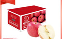 京鲜生 烟台红富士苹果 净重10斤  单果160g以上 水果礼盒 实拍图
