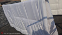 京东京造100%天然新疆棉花被 纯棉被芯双人被子 冬季厚被9斤2.2x2.4m 实拍图