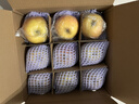 山西高山红富士苹果果园直发丑苹果皮薄多汁当季新果 带箱5斤净重4.5斤【高山80特大果】 实拍图