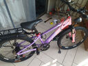 凤凰山地自行车男女变速山地车碟刹青少年儿童自行车学生单车 星际 粉紫【铝架】7速+后座车灯+辐条 22寸【适合130-170cm】 实拍图