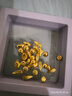 赛菲尔黄金小金豆足金999.9投资金攒金收藏存钱 单颗 约1.0克 实拍图