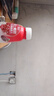 轻上【年货礼盒】红石榴桑椹汁富含维生素C复合果蔬汁饮品245ml*10瓶 实拍图