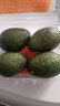 京鲜生 智利进口牛油果 大果4粒装 单果130g+（非即食） 生鲜水果 实拍图