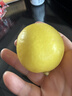京鲜生 四川黄柠檬6颗  单果80g+ 源头直发包邮 实拍图
