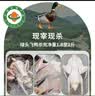 【有机散养土鸭】新鲜现杀鲜鸭肉 绿头飞鸭 农家老鸭子整麻鸭蛋禽 有机老母鸭（杀后1.8-2斤/只 晒单实拍图
