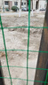 源兴（YUANXING）铁丝网围栏防护网养殖护栏网养鸡/鸡舍/鱼池/山地/低碳钢丝荷兰网 实拍图