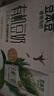 豆本豆全豆豆奶250ml*20盒植物蛋白饮料学生奶儿童营养早餐奶饮品礼盒 实拍图