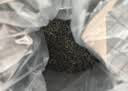 崂茗青岛崂山绿茶浓香型500g袋装茶叶高山云雾豌豆香绿茶叶送礼耐泡 实拍图