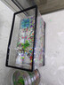 Barbarous Growth鱼缸水族箱客厅阳台家用中小型自循环懒人免换水生态塑料金鱼缸 大号黑色【造景氛围套餐】 实拍图