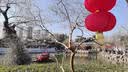 康宝（Canbo）马桶喷水枪伴侣厕所冲洗增压喷枪妇洗器高压冲水枪一进二出角阀 实拍图