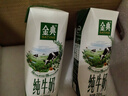 伊利【新鲜日期】金典纯牛奶整箱 250ml*16盒 3.6g乳蛋白 年货礼盒装 实拍图