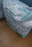 帮宝适超薄透气清新帮拉拉裤新生儿婴儿尿不湿尿片透氧Pro XL84 实拍图