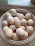 京鲜生柴鸡蛋30枚 3斤 无抗生素 谷物喂养鲜鸡蛋 源头直发 实拍图