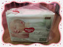 好奇（Huggies）金装拉拉裤L124片(9-14kg)尿不湿【速干不易红】 实拍图