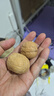 楼兰蜜语 薄皮大核桃500g/袋 新二核桃 每日坚果 新疆纸皮核桃仁 休闲零食 实拍图