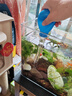 憨憨乐园小鱼缸吸便器换水器吸鱼粪便神器吸管乌龟缸沉淀斗鱼屎吸污器小号 实拍图