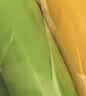 马培德（Maped）【创意美术】精灵12色水彩笔 幼儿学生绘画彩色笔 初学美术彩绘涂鸦画笔 845720CH 儿童美育礼物 实拍图