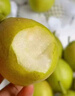 京地达香梨子新疆库尔勒香梨子新鲜水果年货净重8斤单果115g+源头包邮 实拍图