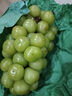 阳光玫瑰葡萄晴王青提香水提子山西新鲜水果一斤也是批发价 带箱2斤大果【单果克重10g-20g】（净重约1.5斤） 实拍图
