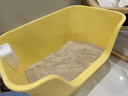 疯狂的主人猫砂盆超大号半封闭式特大号猫厕所防外溅大黄油猫沙猫屎盆猫用品 实拍图