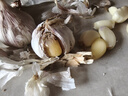 京喜自营精选大蒜水果蒜调料蔬菜火锅烧烤牛肉小龙虾食材 优惠5-6头 100g 单果3.5-5cm 实拍图