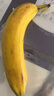 佳农 进口香蕉净重4斤（约10-12根）单根蕉 独立装 生鲜水果 新鲜包邮 实拍图