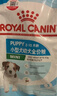 皇家狗粮 幼犬狗粮 宠物 小型犬 MIJ31 全价犬粮 2-10月 2KG 实拍图