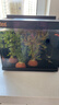 森森金麟超白玻璃鱼缸一体缸自循小型懒人家用水族箱LE-300 实拍图