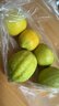 广东香水黄柠檬包邮新鲜水果柠檬精选皮薄奶茶店专用整箱 现货 柠檬带箱1斤单果50g+ 实拍图
