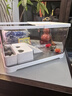阔庭（KUOTING）乌龟缸桌面透明生态乌龟缸乌客厅水族箱白色 实拍图