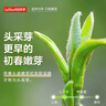 乐品乐茶头采芽毛尖明前特级2025新茶绿茶年货茶叶礼盒装250g送长辈领导 实拍图